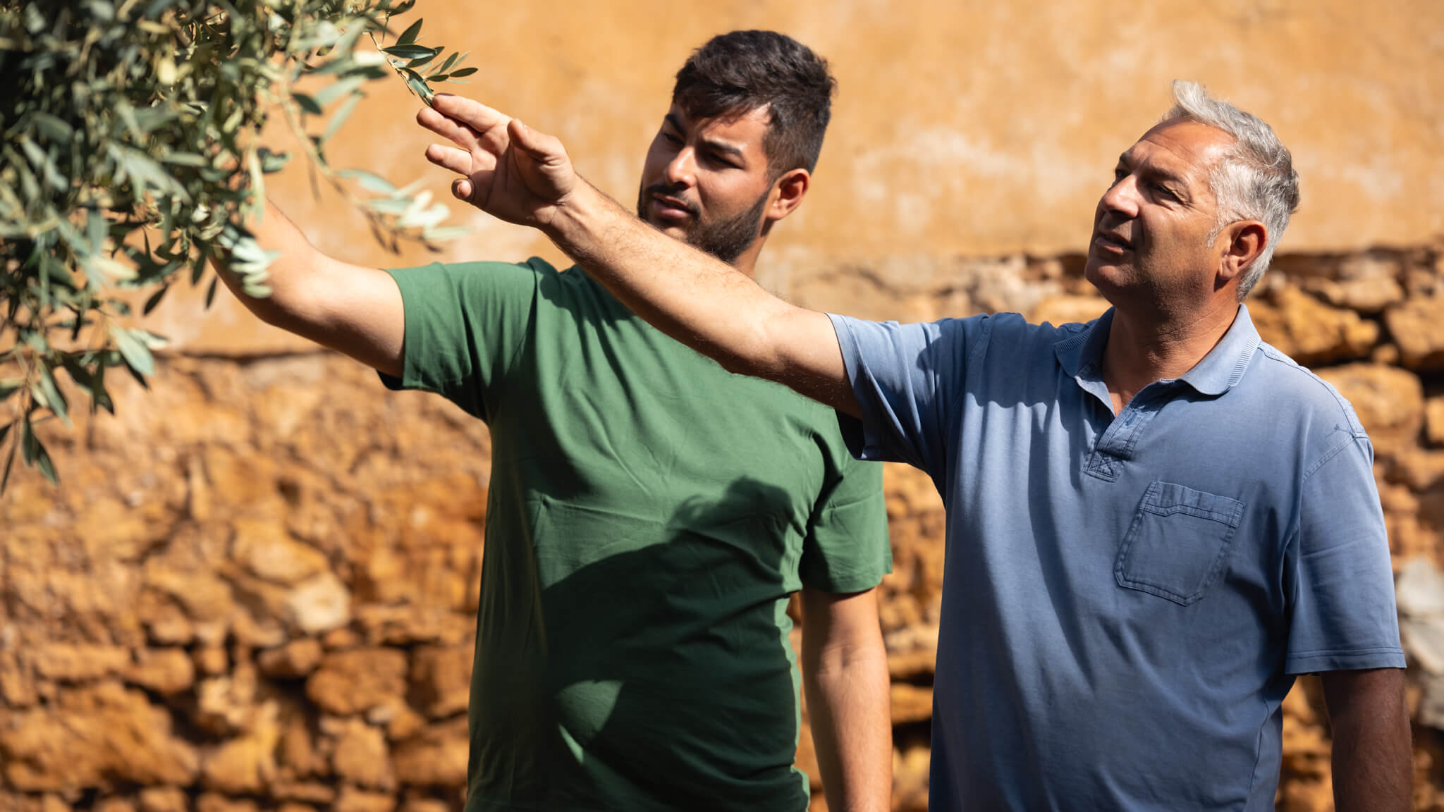 azienda agricola latomi mangiaracina